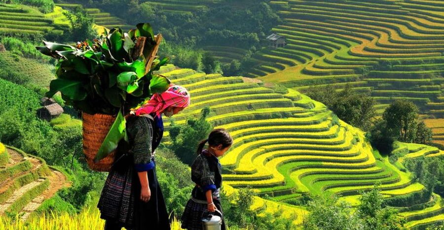 From Hanoi: 2-Day 2-Night Sapa Tour by Overnight Train - Why this Hanoi to Sapa trip works