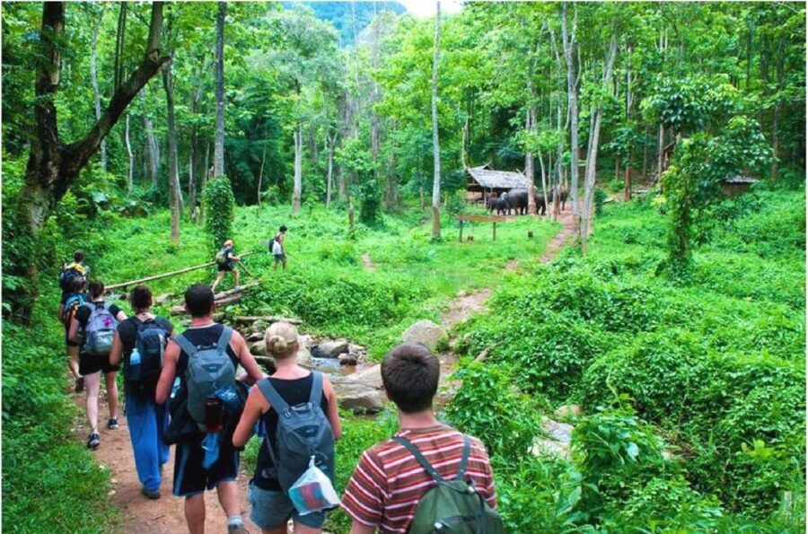 From Hanoi: 2-Day Ha Long Bay Tour with Ninh Binh and Cruise - Day one: Hanoi to Ha Long Bay