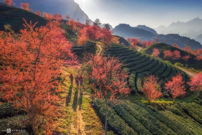 From Hanoi: 2-Day Luxury Sapa Trekking Tour with Homestay - Why this Sapa tour works well for a short trip