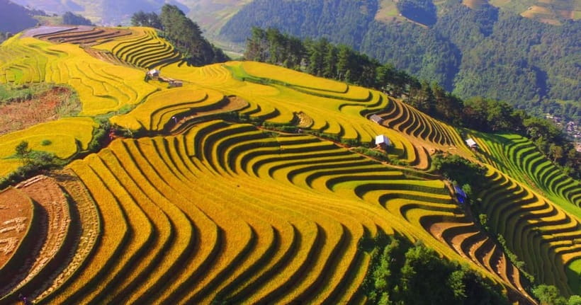 From Hanoi: 2-Day Luxury Sapa Trekking Tour with Homestay - Who should book this trek?