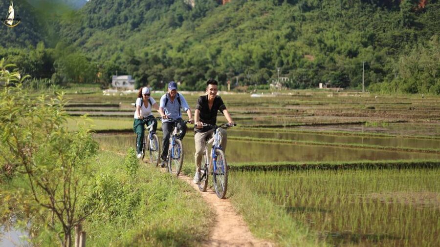 From Hanoi: 2-Day Ninh Binh Tour with Ha Long Bay Cruise - Day two trades rice paddies for Ha Long Bay