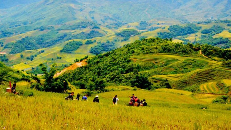 From Hanoi: 2-Day Overnight Sapa Tour by Limousine - Food, hotel choices, and what the price covers
