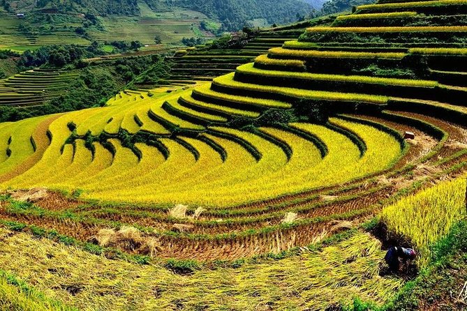 From Hanoi: 2-Day Overnight Sapa Tour by Luxury Van Limousine - Giang Ta Chai offers a different second day