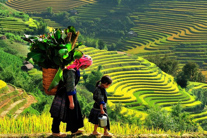 From Hanoi: 2-Day Overnight Sapa Tour by Luxury Van Limousine - Y Linh Ho, Lao Chai, and Ta Van are the main attraction