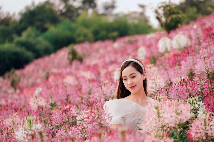 From Hanoi: 2-Day Sapa, Fansipan, and Muong Hoa Valley Tour - Key points at a glance