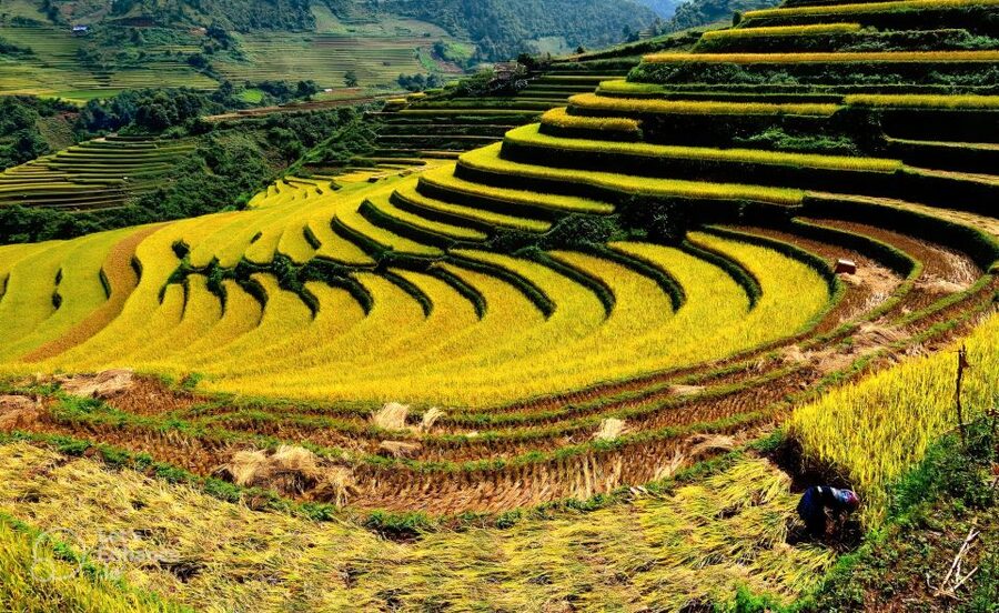 From Hanoi: 2-Day Sapa-Fansipan Peak & Trek & Ha Giang Bus - Riding the Fansipan cable car to the Roof of Indochina