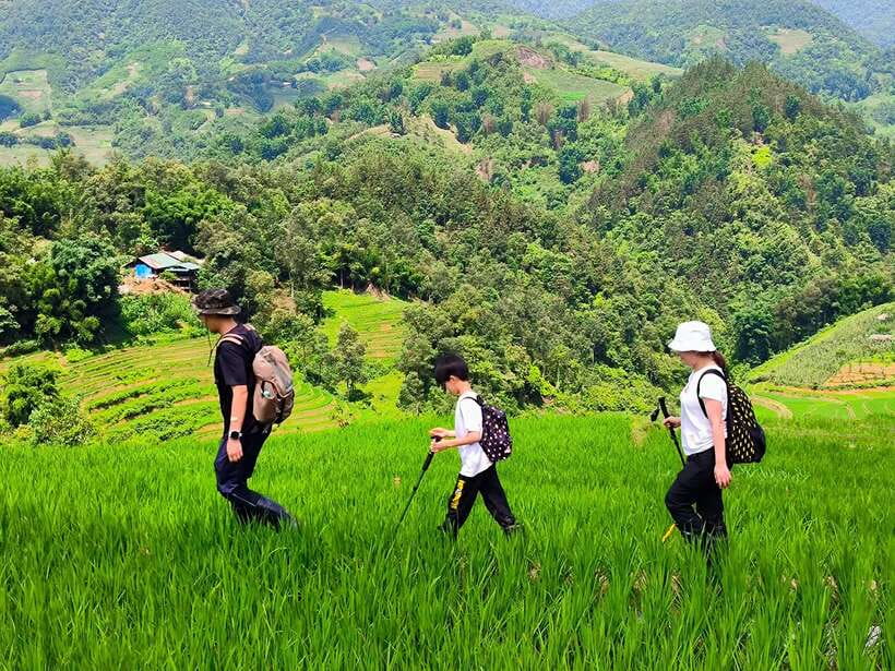 From Hanoi: 2-Day Sapa Trek Tour - Luxury Limousine Transfer - Hotel comfort or a Ta Van homestay