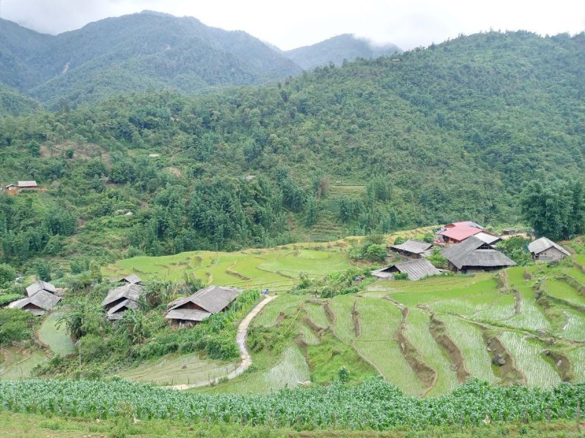 From Hanoi: 2-Day Sapa Trekking Trip with Homestay & Meals - Should you book this two-day Sapa experience?