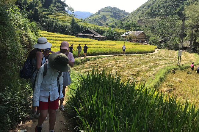 From Hanoi: 3 Days Luxury Sapa Trek & Fansipan Peak with Dcar - The guides and communication make a practical difference