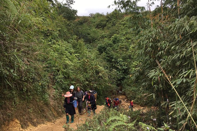 From Hanoi: 3 Days Luxury Sapa Trek & Fansipan Peak with Dcar - Day three: Ham Rong Mountain before the long return