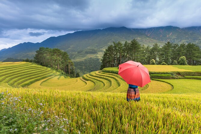 From Hanoi: 3 Days Sapa Trekking & Ethnic Villages by Dcar - Who should book this three-day Sapa plan?