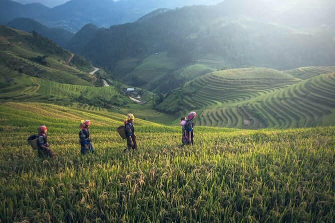 From Hanoi: 3 Days Sapa Trekking & Ethnic Villages by Dcar - Day 3: Ham Rong Mountain before the long ride south