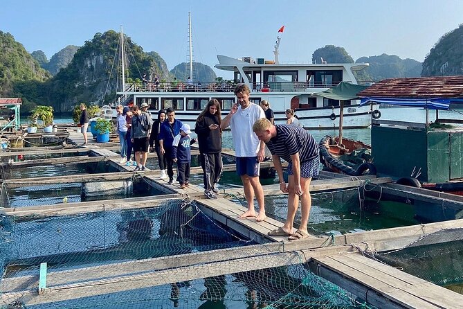 From Hanoi/Cat Ba: Lan Ha-Ha Long Bay Full Day Boat trip - Lan Ha Bay instead of Ha Long Bay