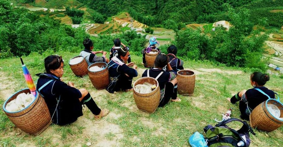 From Hanoi: Explore Sapa 2-Day Tour - Why this quick Sapa trip works