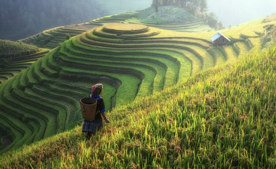 From Hanoi: Explore Sapa 2-Day Tour - Dinner and one practical night in Sapa