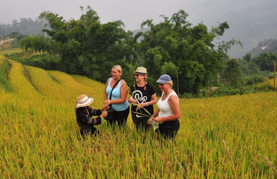 From Hanoi: Explore Sapa 2-Day Tour - What the $105 price really covers