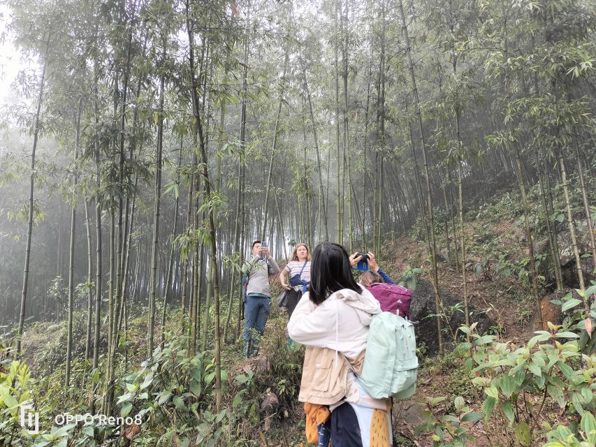 From Hanoi: Guided 2-Day Tour of Sa Pa with Lunch & Dinner - Who should book this Sa Pa tour?