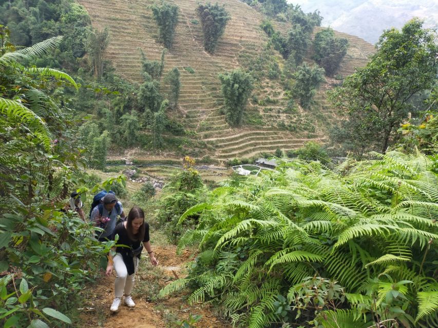From Hanoi: Guided 2-Day Tour of Sa Pa with Lunch & Dinner - From Ly Chai to Ta Van and the Dzay homestay