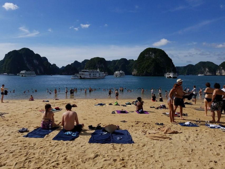 From Hanoi: Halong Bay Day Trip w/ Cave, Island & Kayak - The sunset party on the return cruise