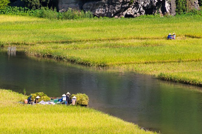 From Hanoi: Hoa Lu - Tam Coc boating - Cycling & Mua Cave visit - Vietnamese buffet lunch and what to expect
