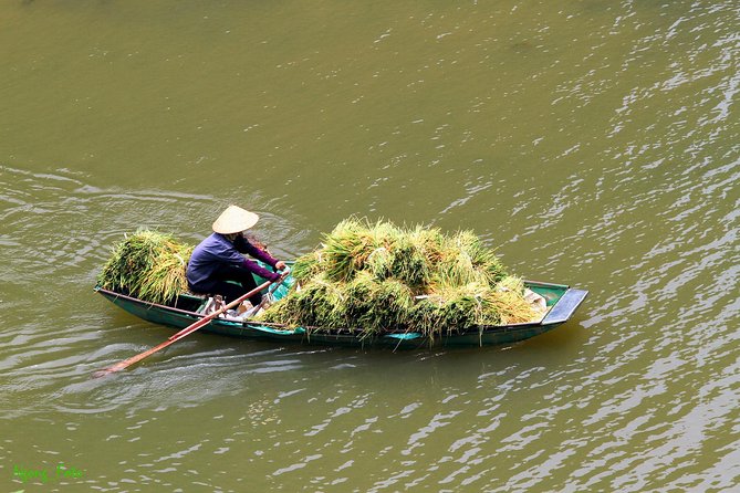 From Hanoi: Hoa Lu - Tam Coc boating - Cycling & Mua Cave visit - The guide and group experience