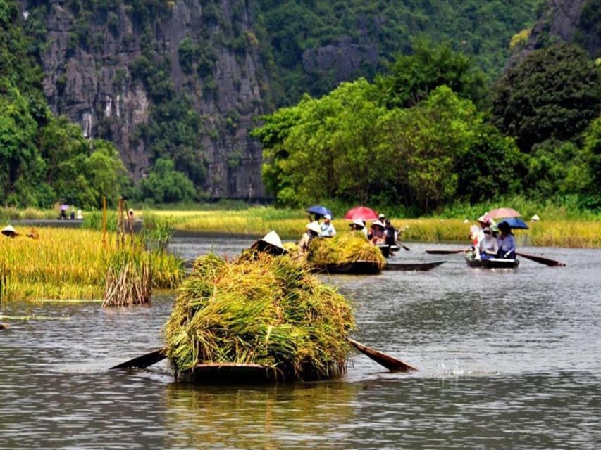 From Hanoi: Ninh Binh & Cuc Phuong National Park 2-Day Tour - Day 2: Cuc Phuong and its rescued primates