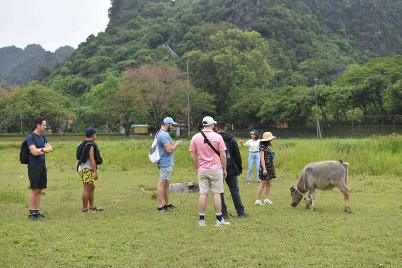 From Hanoi: Ninh Binh, Hoa Lu, Tam Coc, & Mua Cave Day-Trip - The return to Hanoi and what the day feels like