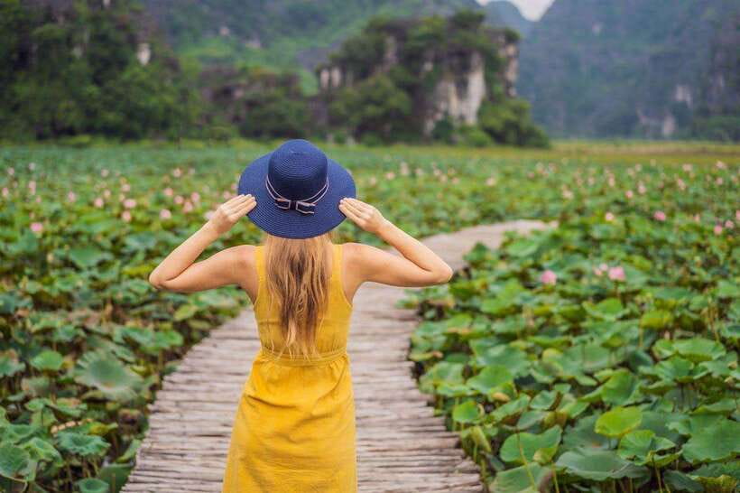 From Hanoi: Ninh Binh- Hoa Lu-Tam Coc- Mua Cave- Highlight - Mua Cave and the 500-step climb