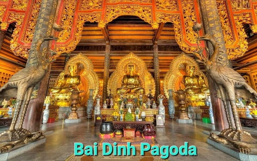 From Hanoi/NinhBinh: HoaLu-Bai Din- TrangAn- MuaCave-BichDon - What this Ninh Binh day covers