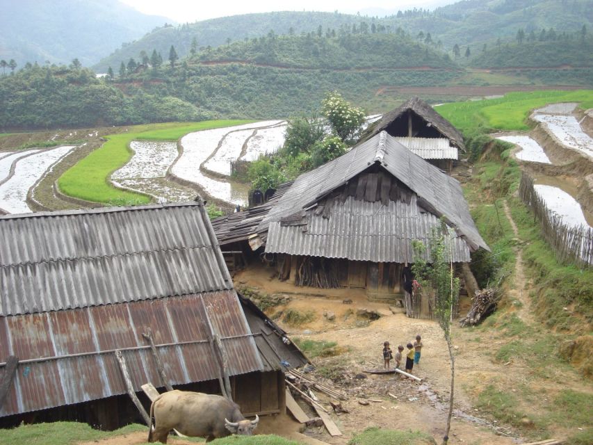 From Hanoi: Sapa 3-Day Medium Trek and Limousine Trip - Day 3: Bamboo forest, waterfall, and Giang Ta Chai