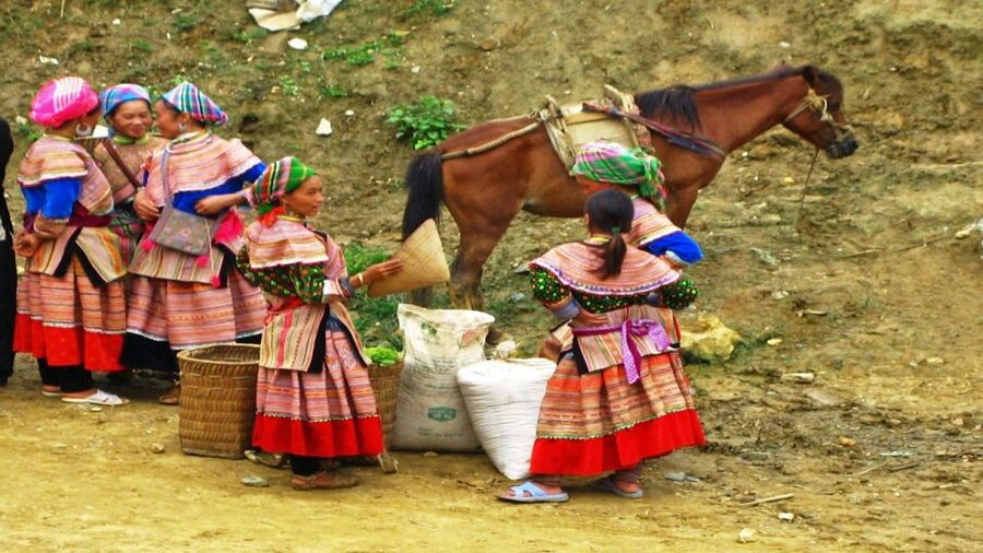 From Hanoi: Sapa 3-Day Medium Trek and Limousine Trip - What the $165 price really covers