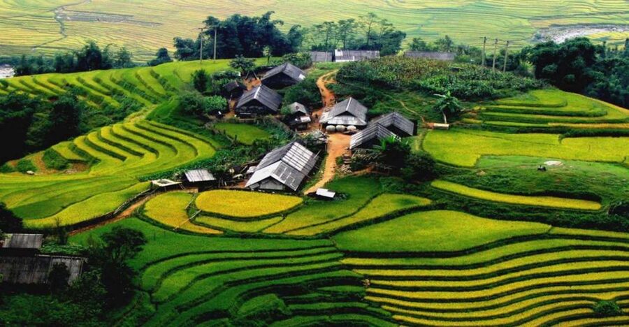 From Hanoi: Sapa 3-Day Medium Trek and Limousine Trip - Day 1: Hanoi to Sapa, then Sin Chai village