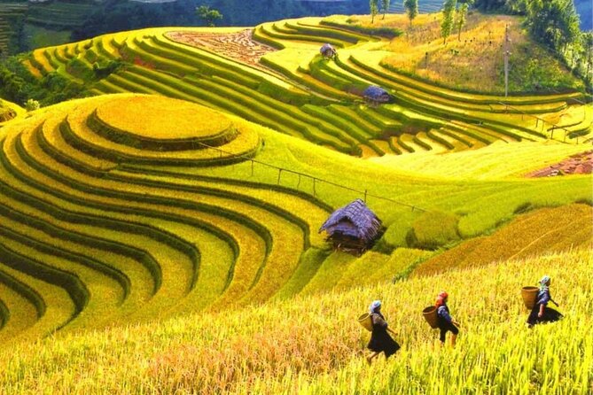 From Hanoi : Sapa Moutain Trek - Halong bay Heritage - Kayaking and Surprise Cave on Halong Bay