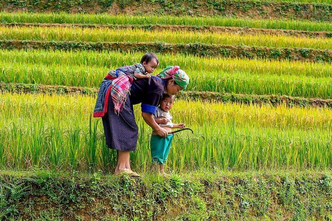 From Hanoi: Sapa Real Experience 2-Day 1 Night at Ethnic Homestay - Ta Van homestay and dinner with the family