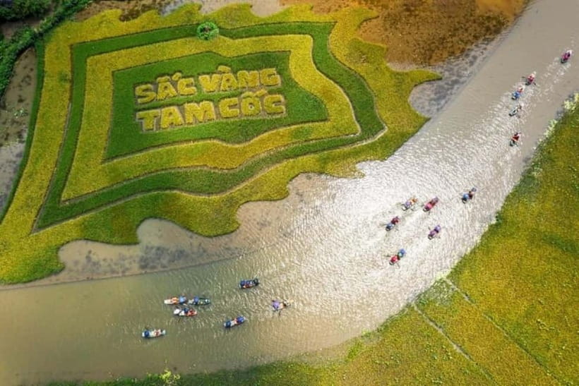 From Hanoi: Tam Coc Boat Trip and Hoa Lu & Mua Cave Tour - Hoa Lu and Vietnam’s early royal past