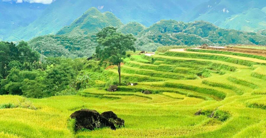 From Hanoi to Pu Luong: 2-Day Trip in Ethnic Villages - Lunch, check-in, and the first Pu Luong walk