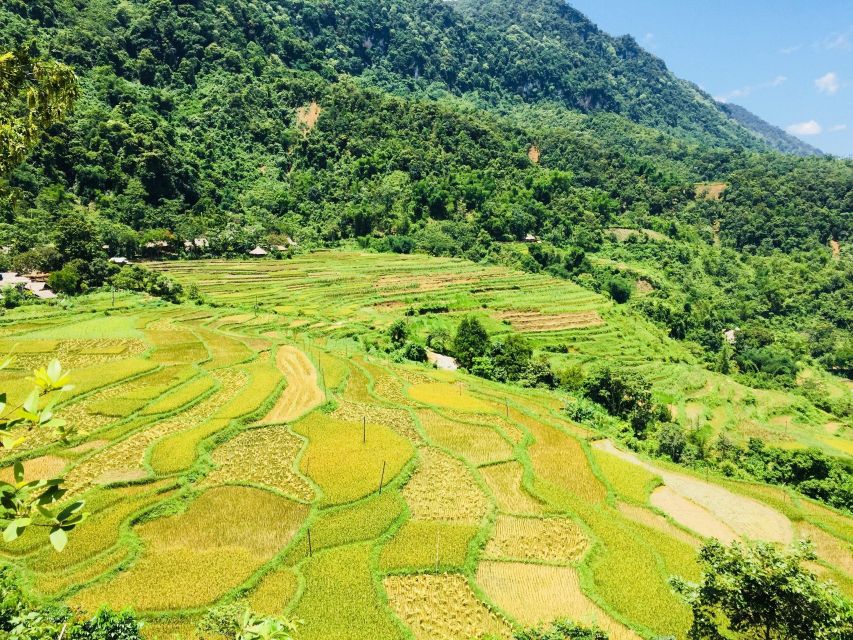 From Hanoi to Pu Luong: 2-Day Trip in Ethnic Villages - Kho Muong Village and the Bat Cave on day two