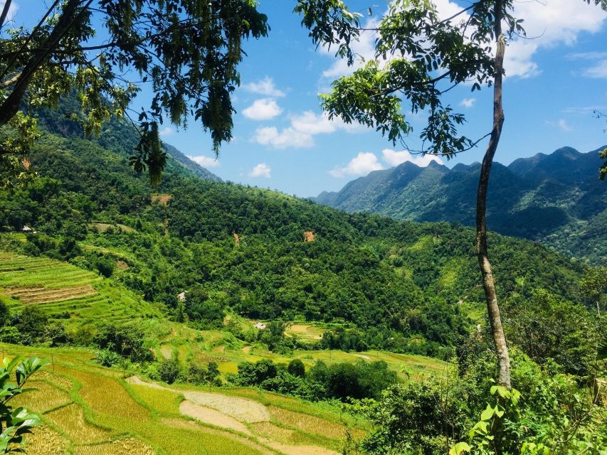 From Hanoi to Pu Luong: 2-Day Trip in Ethnic Villages - Who should book this Pu Luong trip?