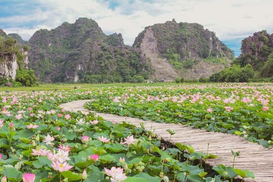 From Hanoi: Trang An eco-tourism - Hoa Lu ancient & Mua Cave - The 500-step climb at Hang Mua