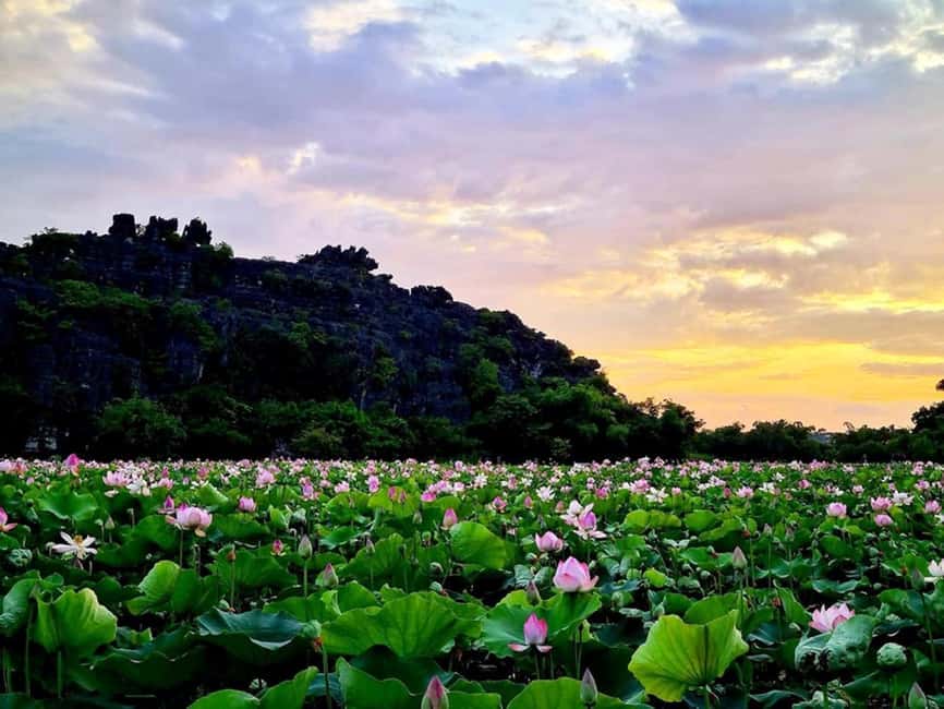 From Hanoi: Trang An eco-tourism - Hoa Lu ancient & Mua Cave - Guides, buses, and the human side of the day