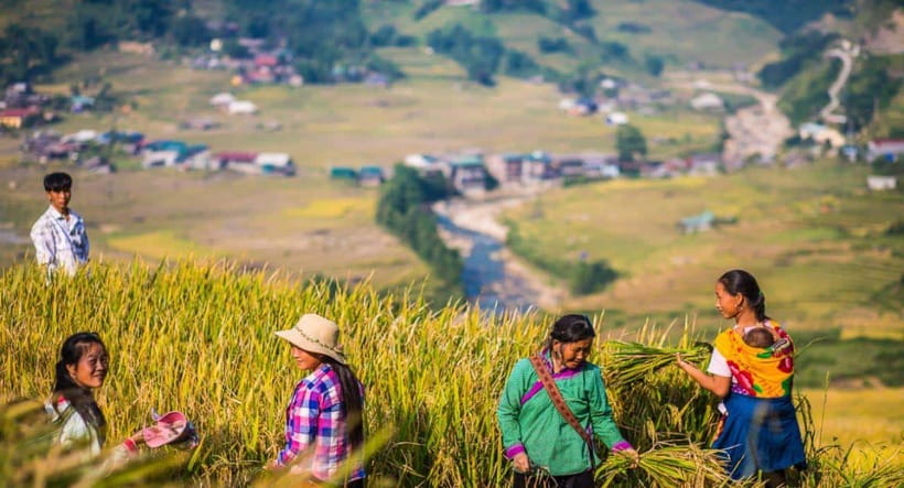 From Hanoi: Trek and Stay: 3-Day Sapa Highlands Adventure - How hard is the trek?