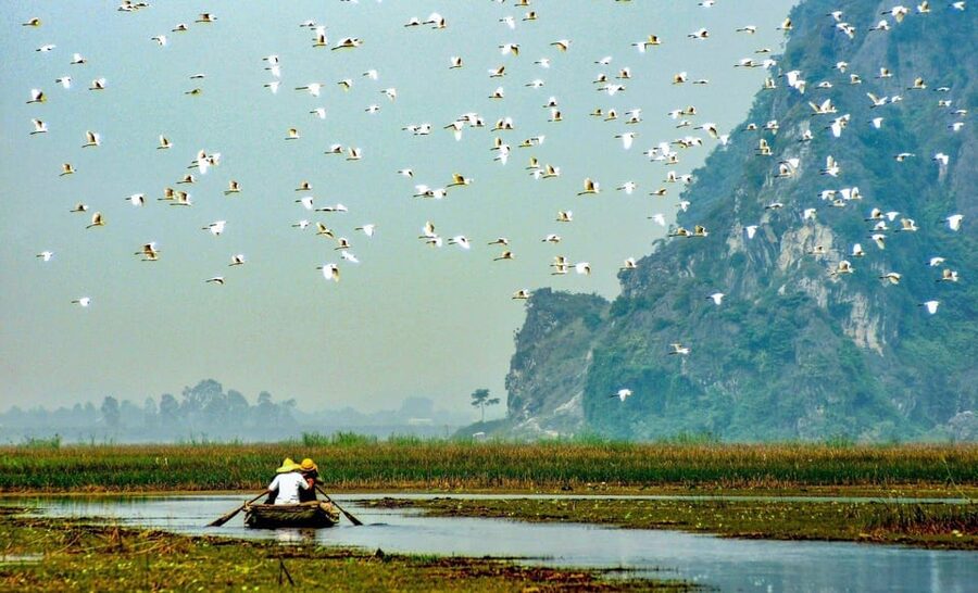 From Ninh Binh: Visit Cuc Phuong National Park - Van Long - Meeting rescued primates at Cuc Phuong