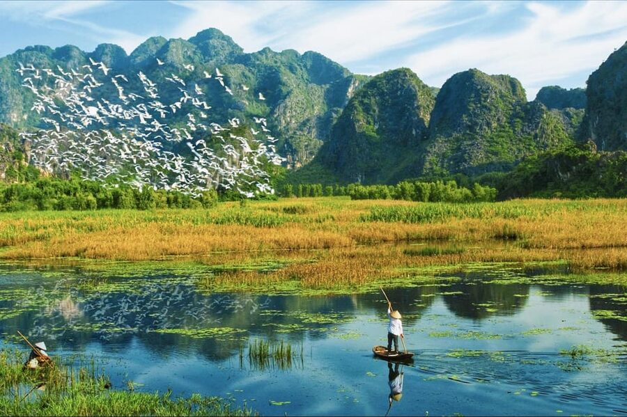 From Ninh Binh: Visit Cuc Phuong National Park - Van Long - Returning to Tam Coc by 17:00