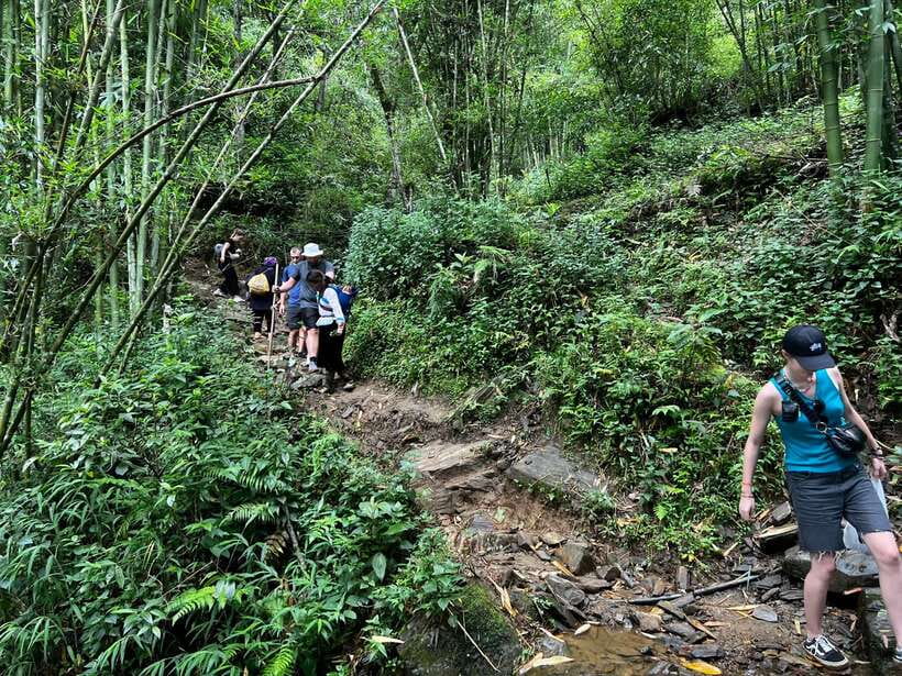 From Sa Pa: One Day Fansipan Mountain Trek - Weather can change the whole experience