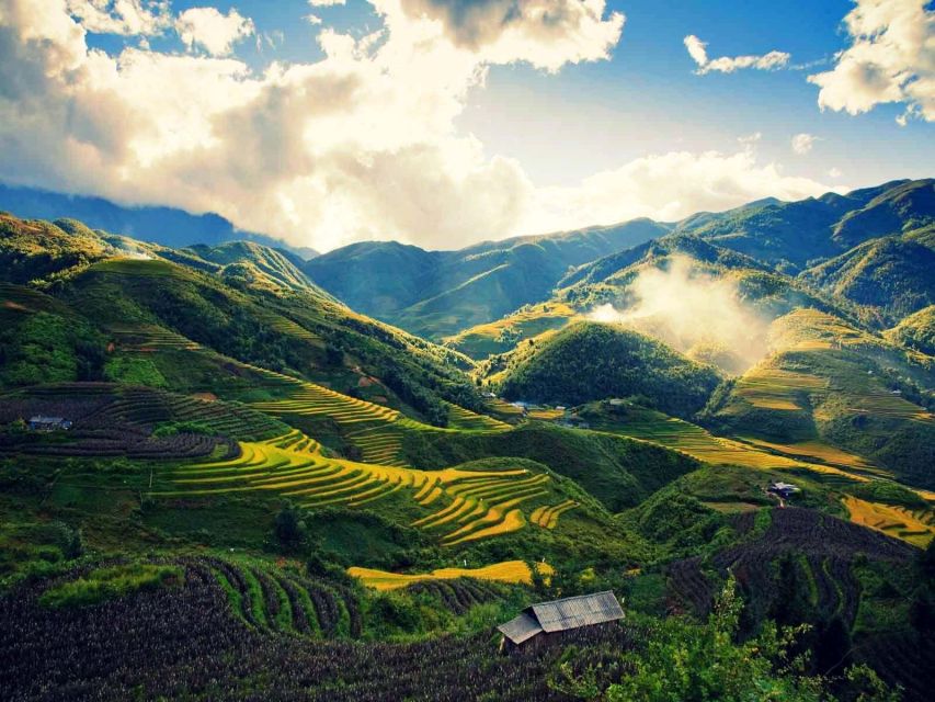 From Sapa : 1 Day Amazing Sapa Trek To Terrace rice field - Key points to know before booking