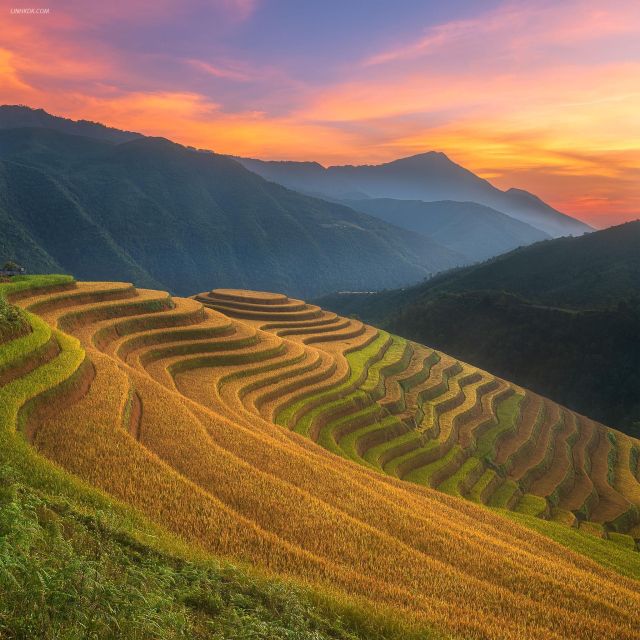 From Sapa: 1-Day Guided Trek to Lao Chai & Ta Van with Lunch - Walking beside the Muong Hoa and Y Linh Ho stream