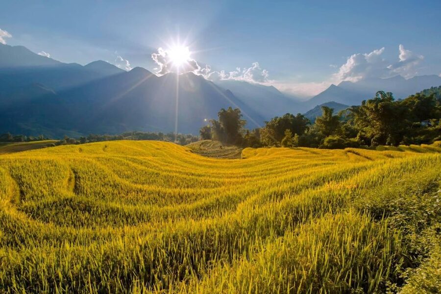 From Sapa: 1-Day Guided Trek to Lao Chai & Ta Van with Lunch - Returning to Sapa by bus