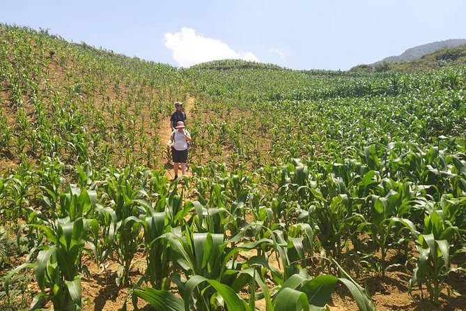 From Sapa: 2-Day Trek Through Authentic Villages in North - Sapa - Is $76.93 a fair price?
