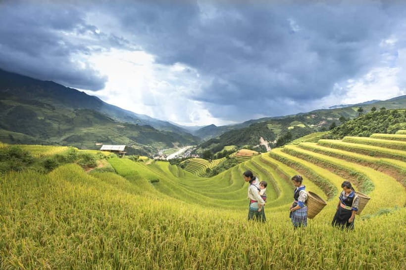 From Sapa Homestay Hideaway 2-Day Local Life Adventure - Why this Sapa trek feels more personal