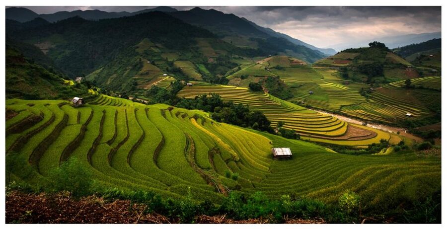 From Sapa: Terrace Fields and Local Villages Trek with Lunch - Why the Sapa terraces are worth the effort